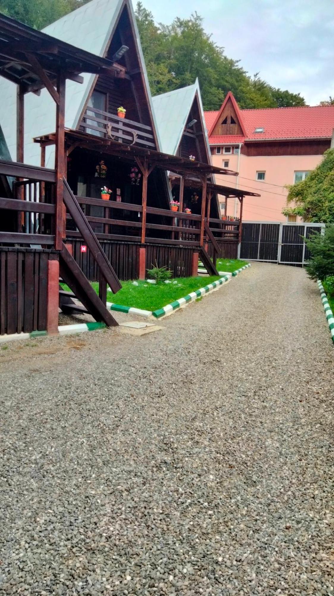 Cabane Sinaia Kamer foto